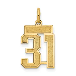14k Yellow Gold Satin Brush Finish Small Size Number 31 Charm Pendant