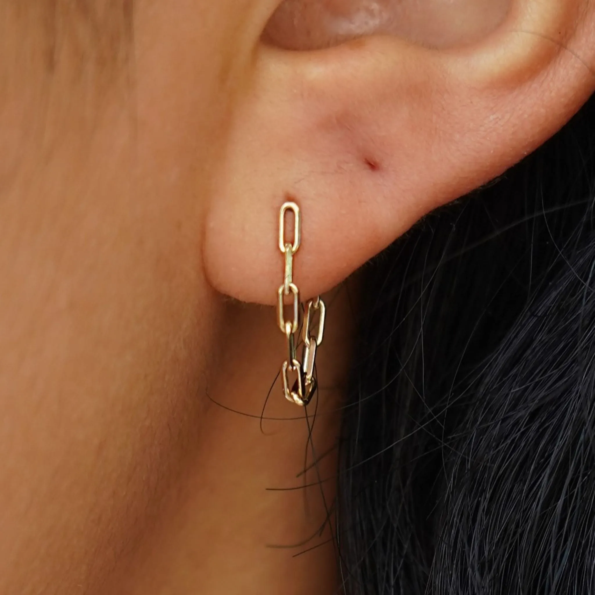 Butch Chain Loop Earring
