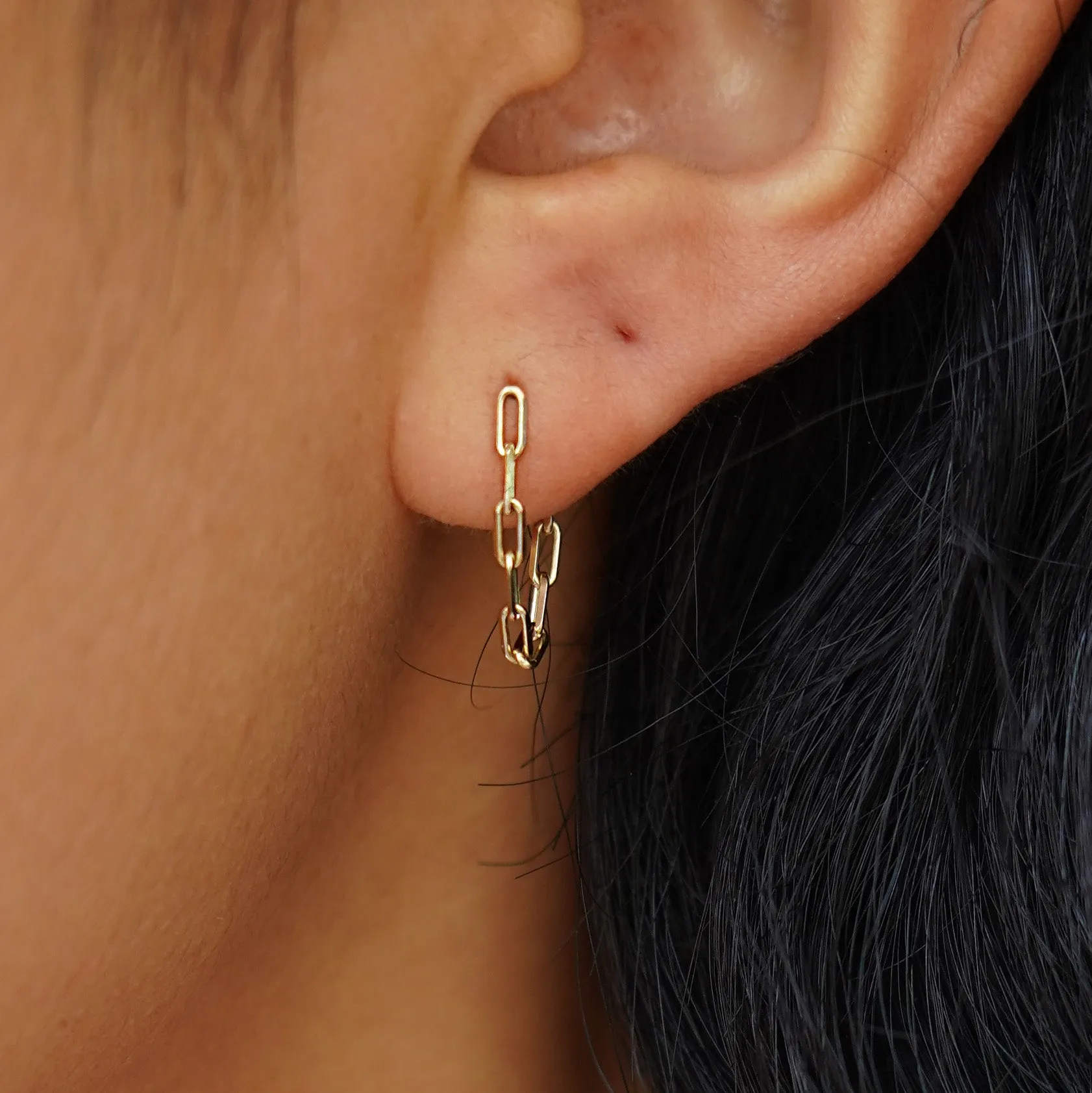 Butch Chain Loop Earring