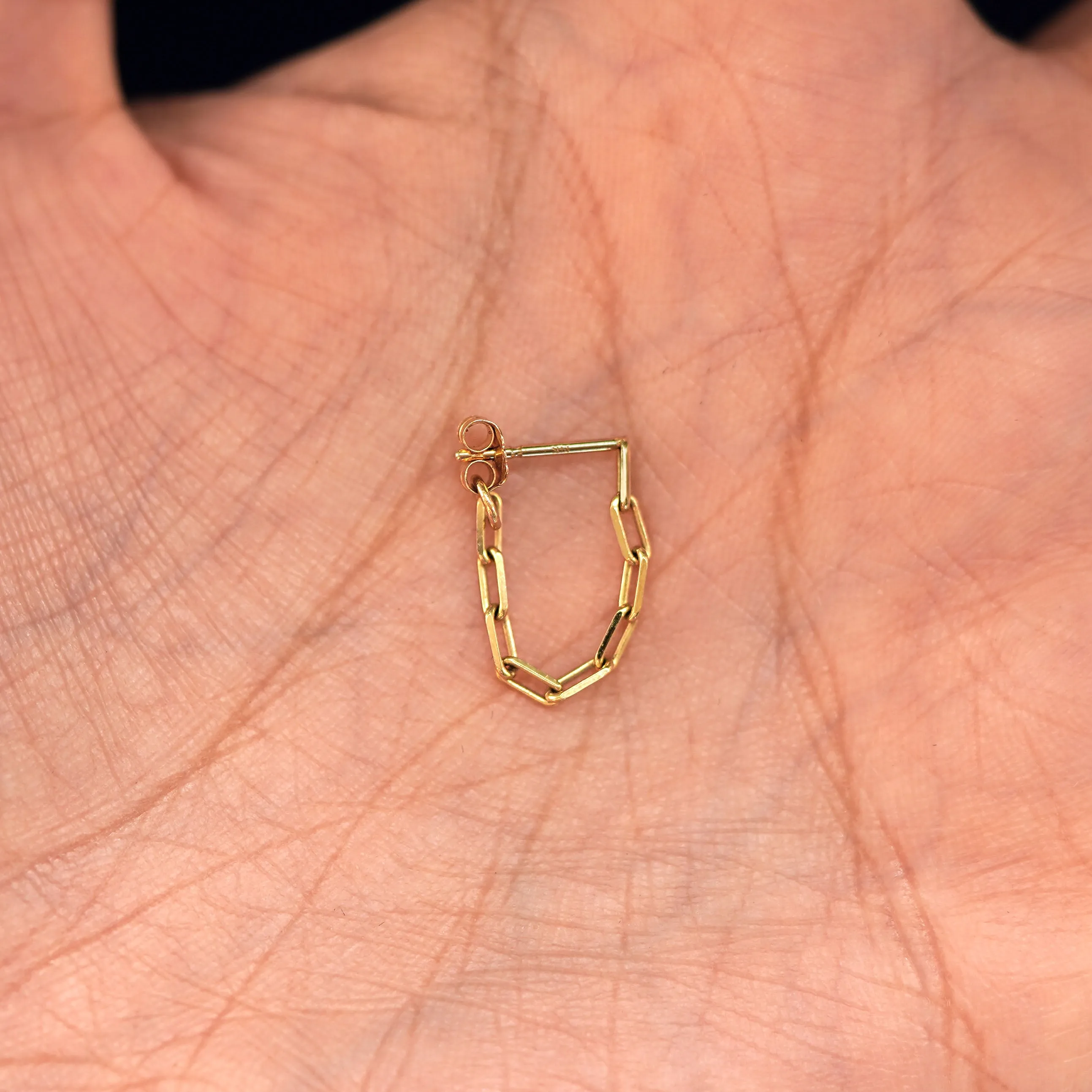 Butch Chain Loop Earring