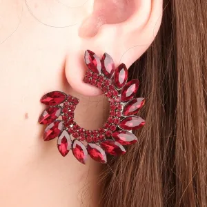 Chic Crystal Stone Hoop Earrings