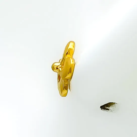 Chic Flower 22k Gold Top Earrings