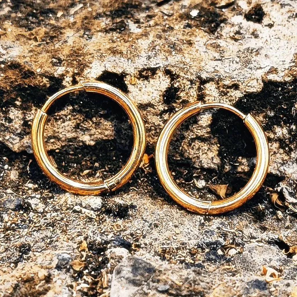 Chic Sleeper Hoop Earrings
