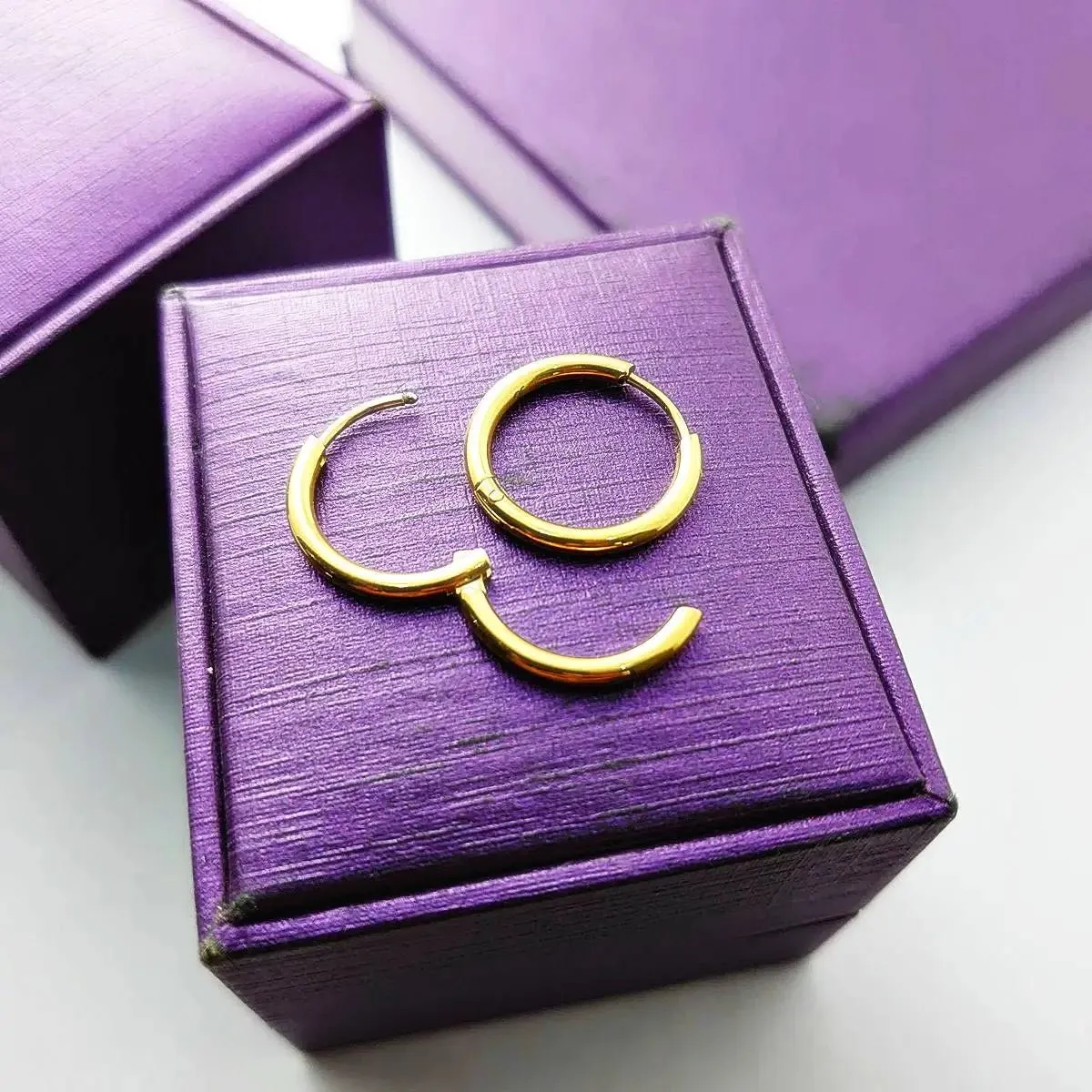 Chic Sleeper Hoop Earrings
