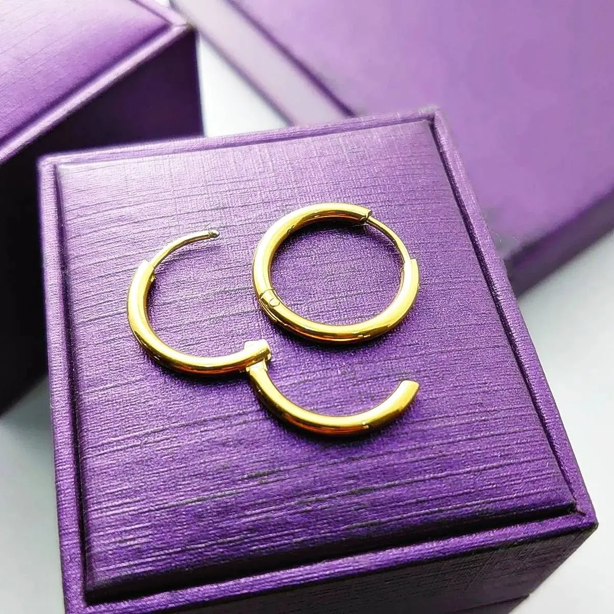 Chic Sleeper Hoop Earrings