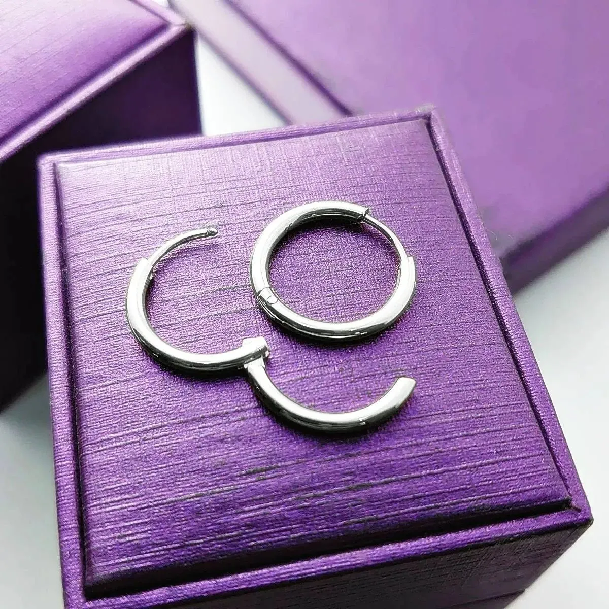 Chic Sleeper Hoop Earrings