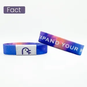 Galaxy - Expand Your Mind