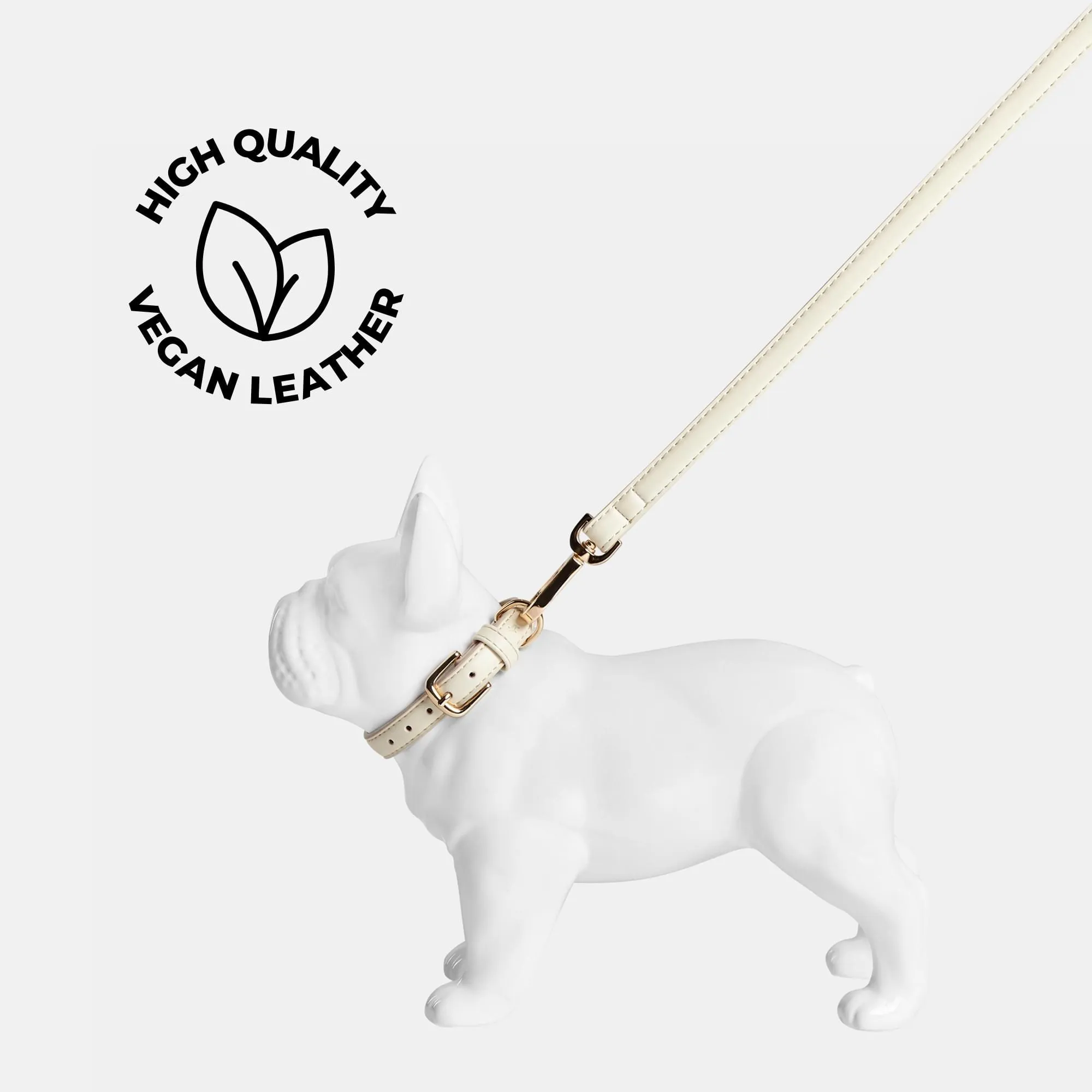 Light Ivory Dog Collar & Lead Set