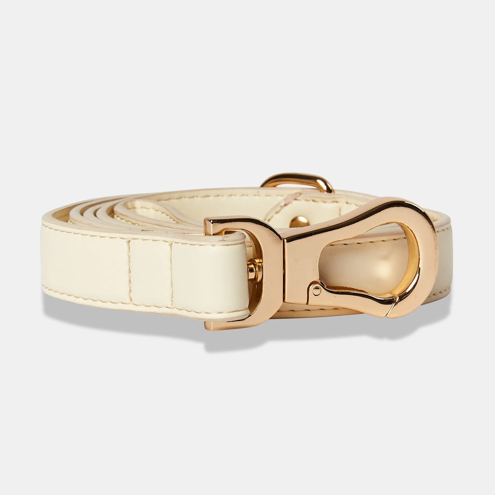 Light Ivory Dog Collar & Lead Set