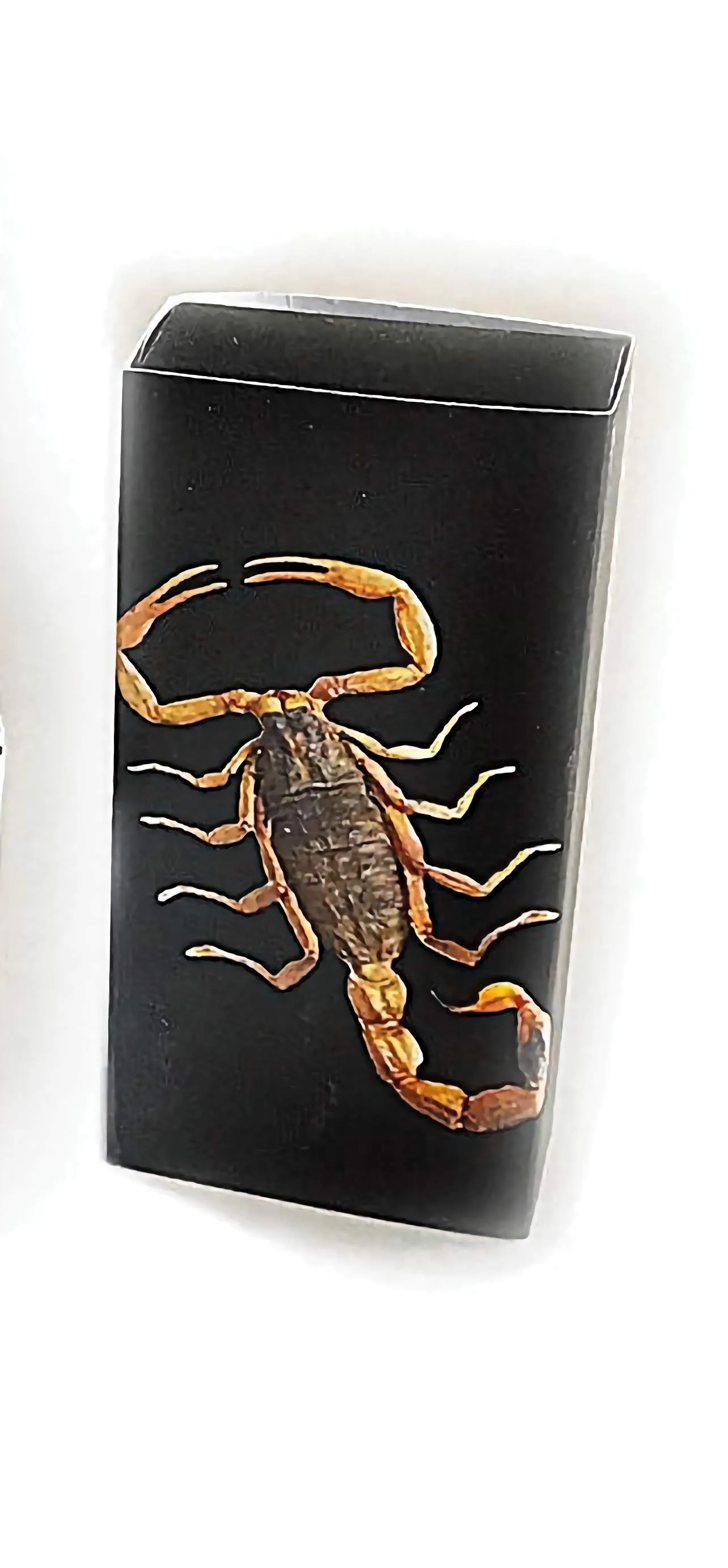 Real Bark Scorpion Bracelet Rectangle Shaped Red Real Nature Gift