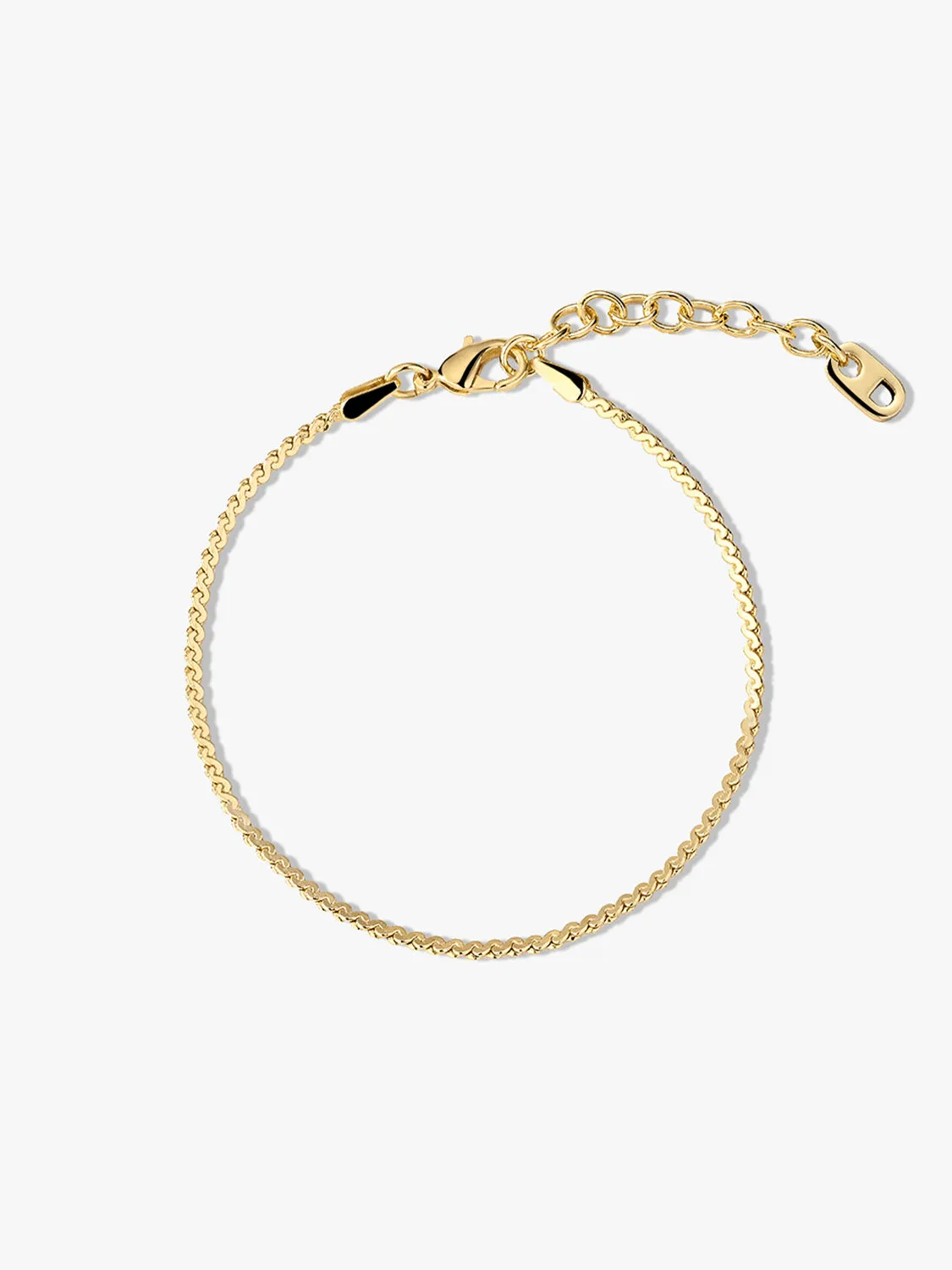 Serpentine Chain Bracelet