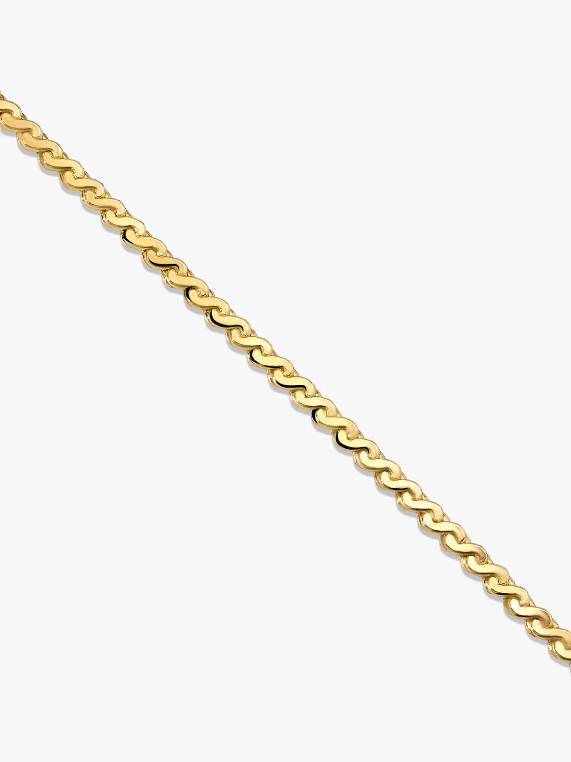 Serpentine Chain Bracelet