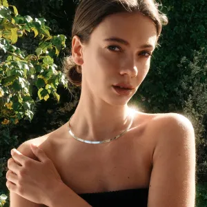 Silver Collar Necklace