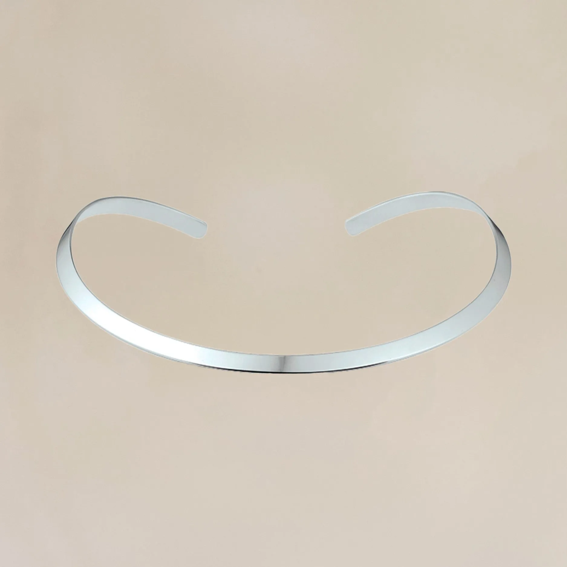 Silver Collar Necklace