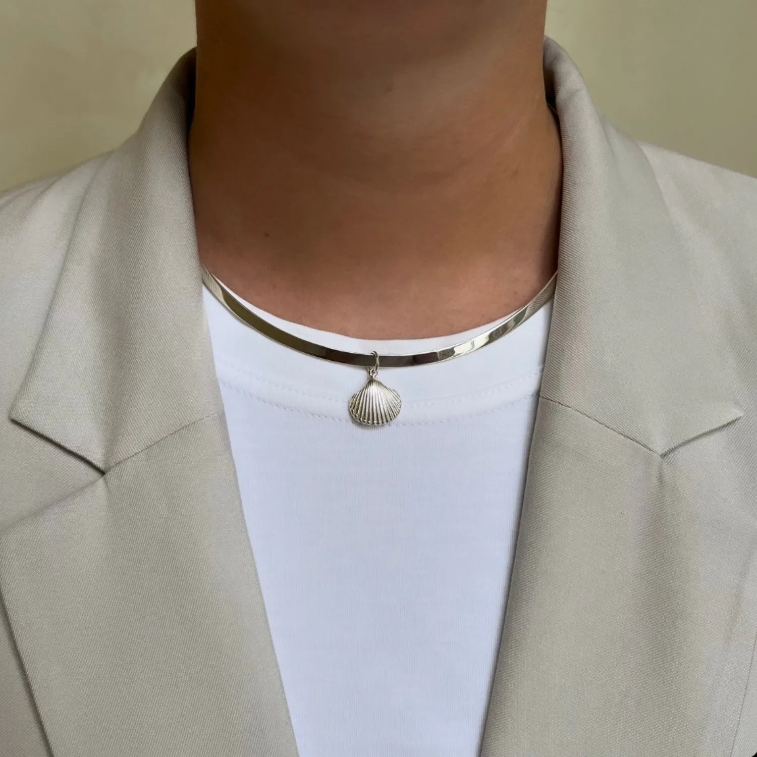 Silver Collar Necklace