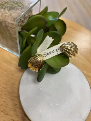 Statement Shells