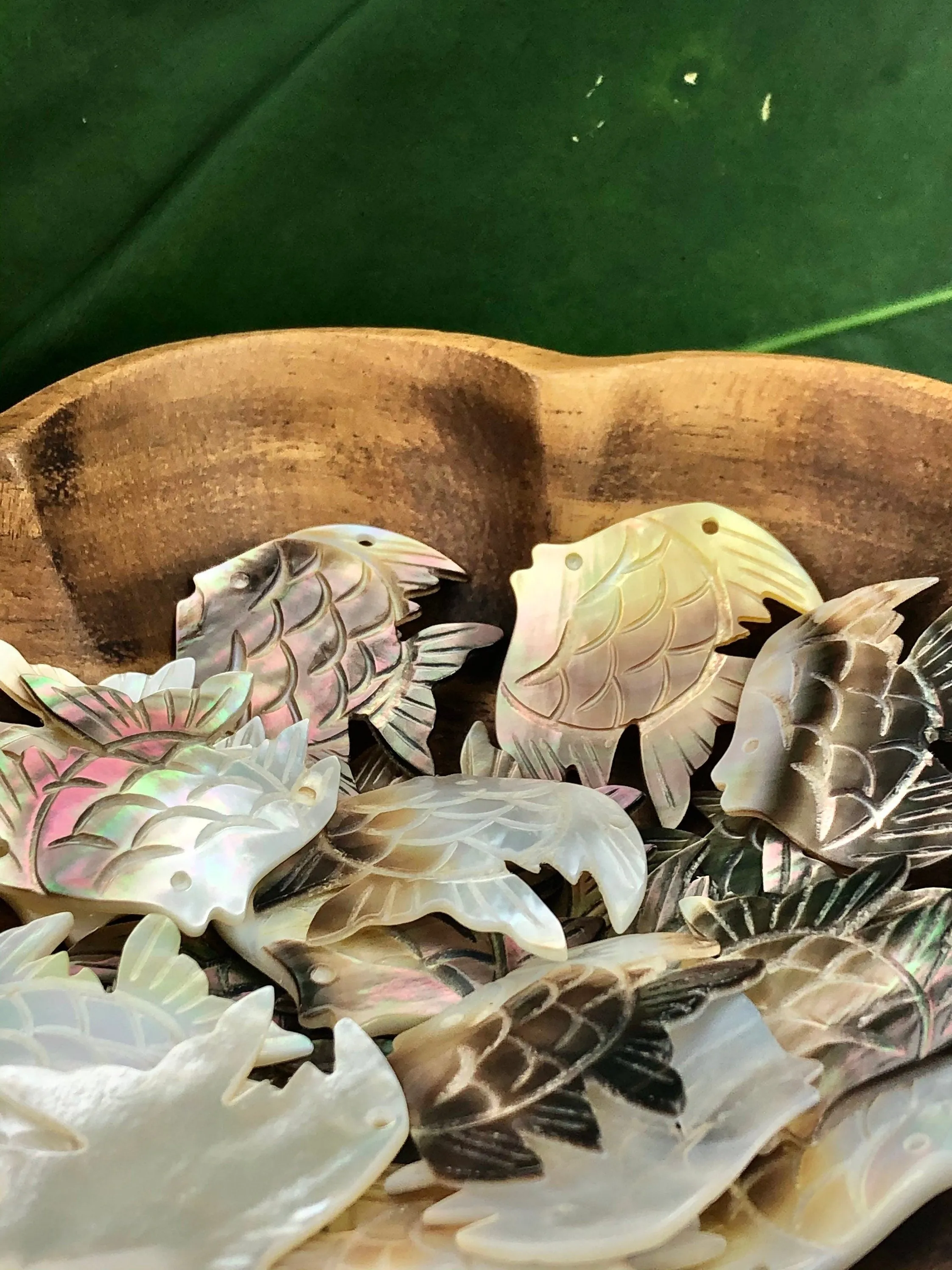 Tahitian Pearl Mother Of Pearl Fish Sku#M260