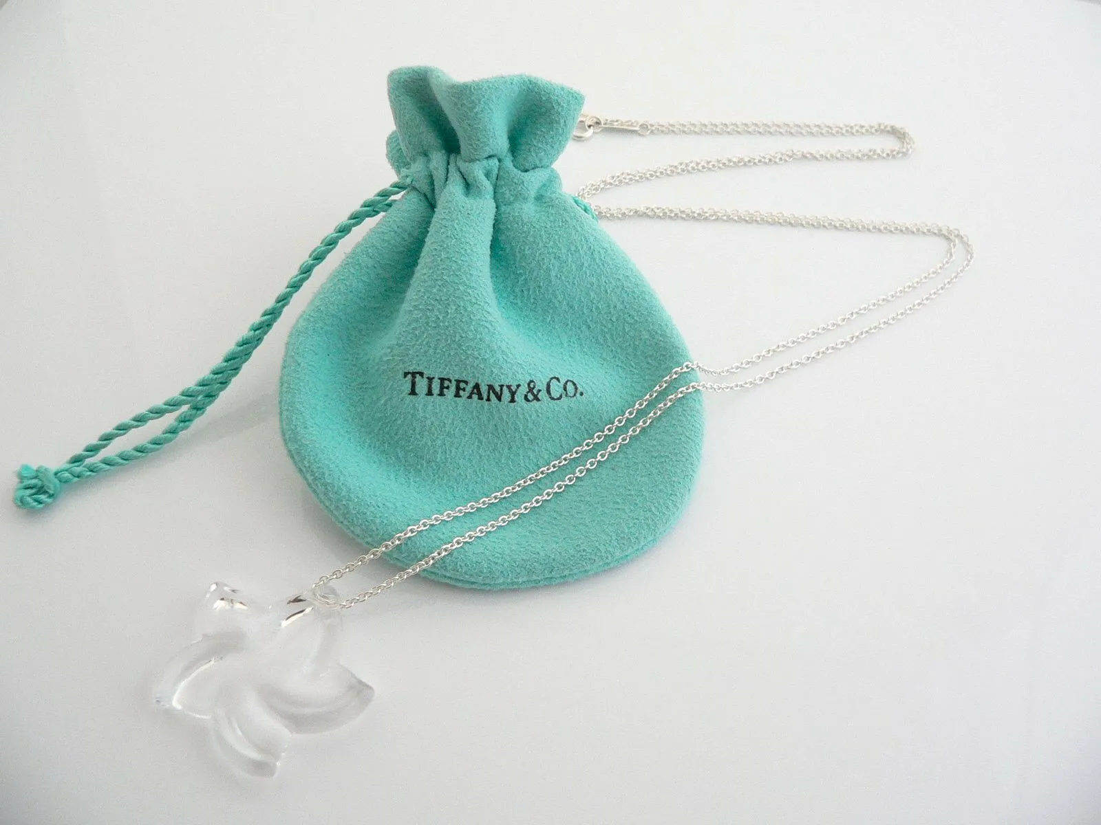 Tiffany & Co Peretti Silver Large Rock Crystal Star Necklace Pendant Charm Gift