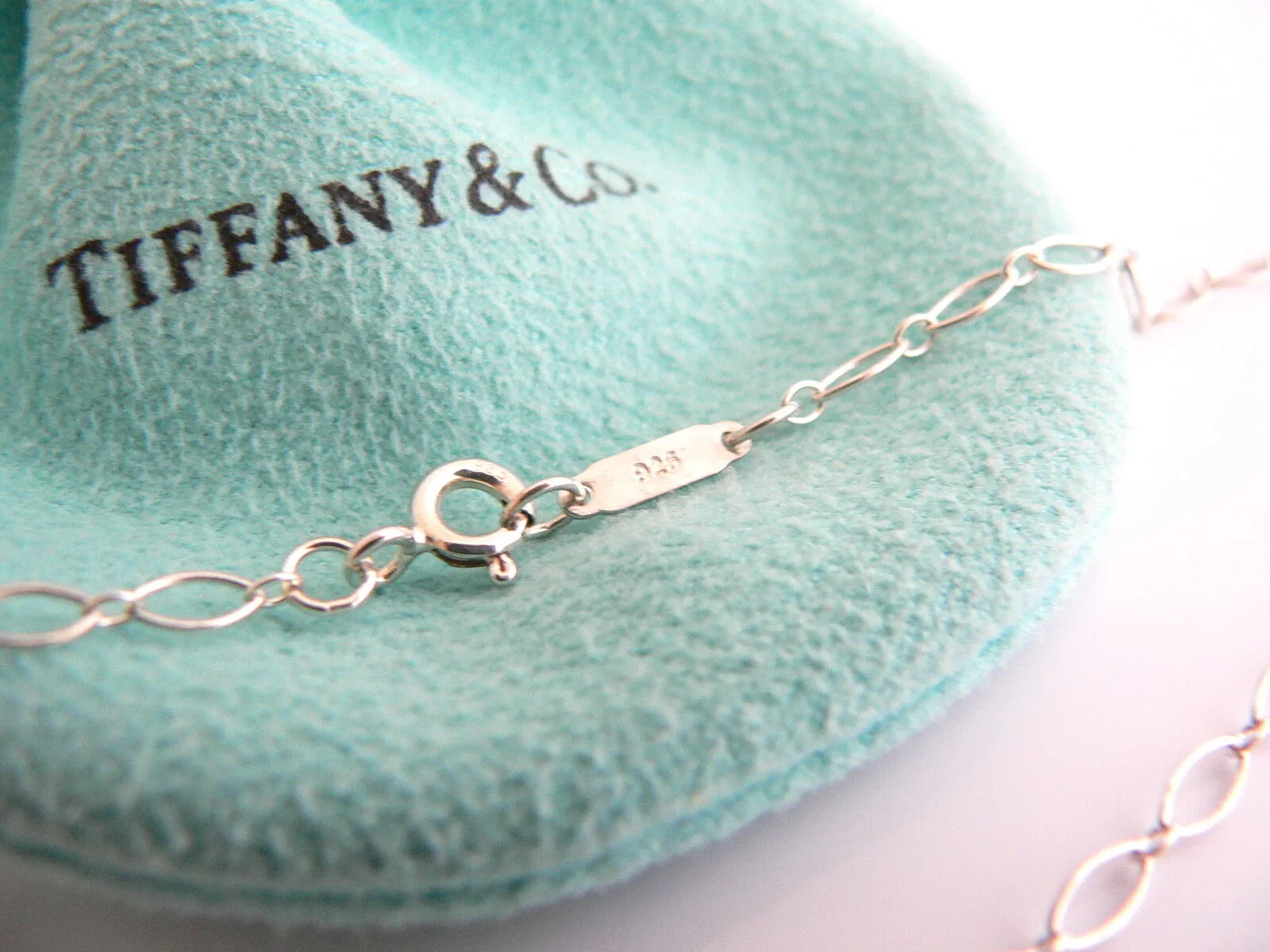Tiffany & Co Silver Large Locks Necklace Pendant Charm 24 Inch Chain Gift Pouch