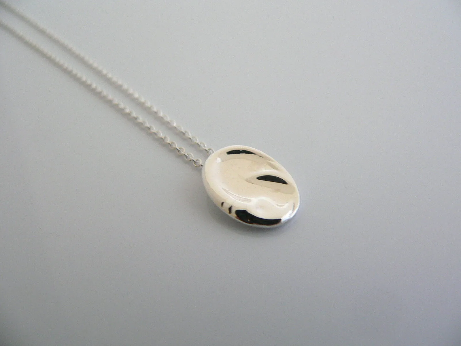 Tiffany & Co Silver Peretti Capricorn Zodiac Necklace Pendant Chain Gift Love